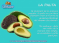 /album/tips-shalem/palta-png/